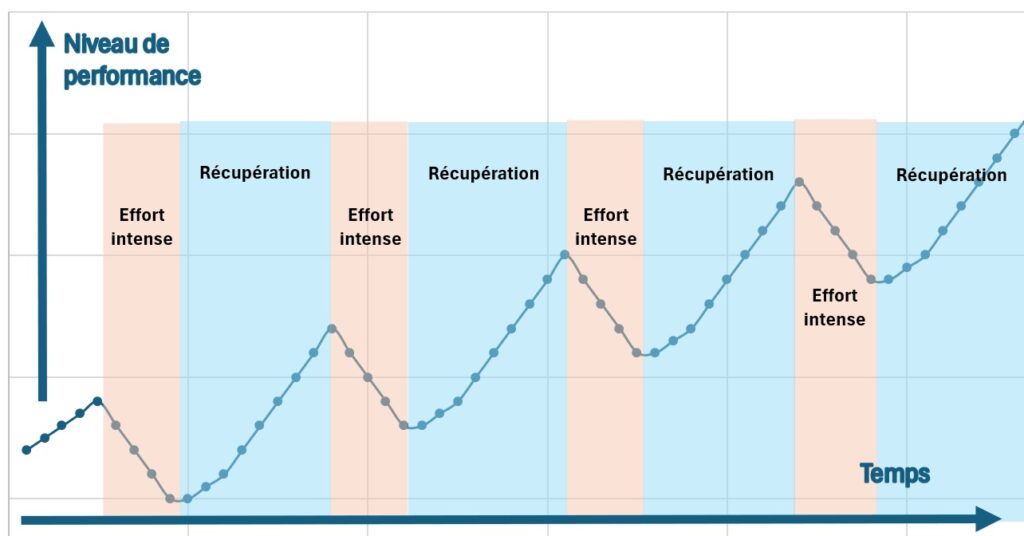 récupération musculaire évolution performance