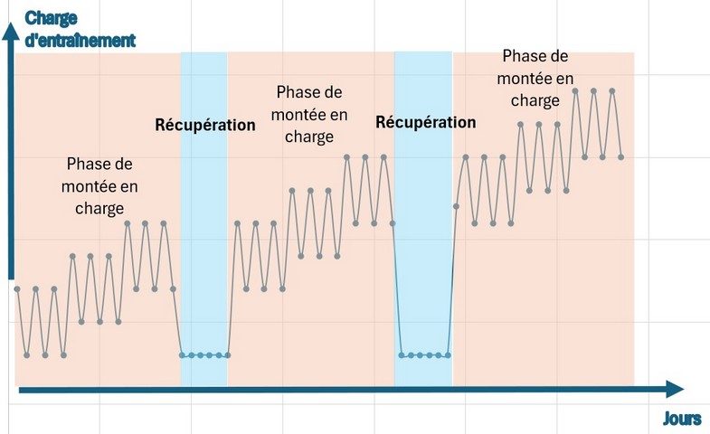 entrainement pour récupération002