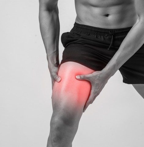 muscles endoloris