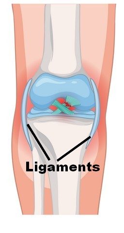 compléments alimentaires tendons ligaments003
