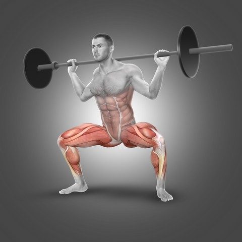 comment muscler cuisses