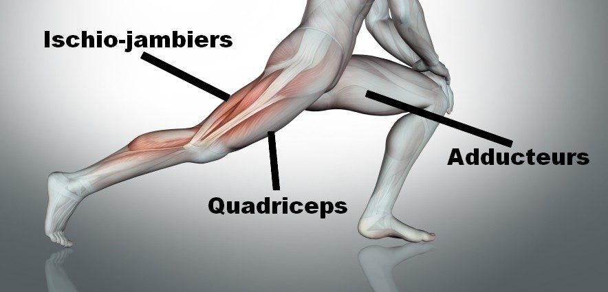 comment muscler cuisses008
