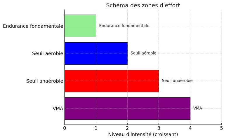 seuile aérobie003