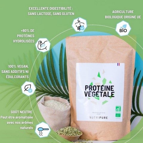 meilleures protéines végétales en poudre 008
