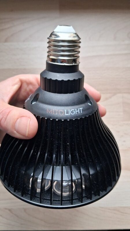 mitolight bulb 5 avis 003